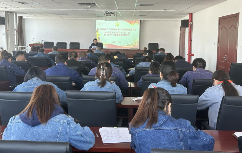 工投公司紀委召開2023年度第三次學(xué)習(xí)（擴大）會暨&ldquo;清明節(jié)&rdquo;前廉政警示教育會