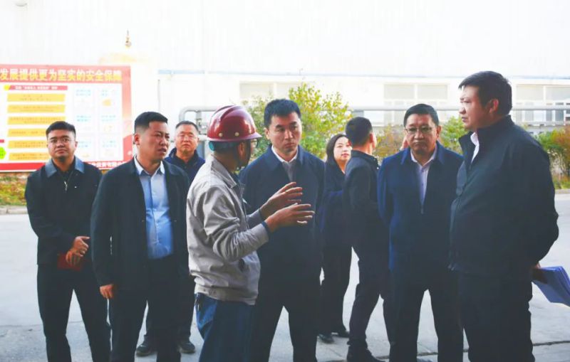大通縣委副書記、縣長馬明旭一行蒞臨工投公司調(diào)研指導(dǎo)